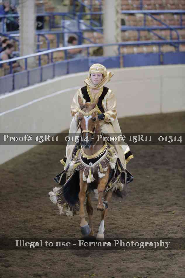 Proof 15R11_01514