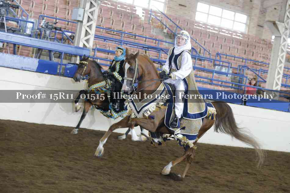 Proof 15R11_01515
