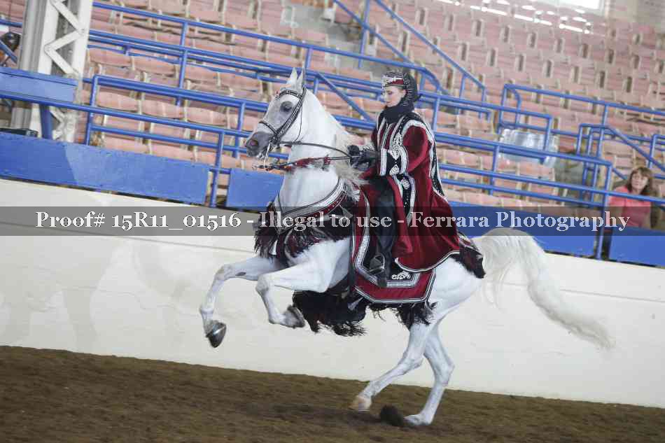 Proof 15R11_01516