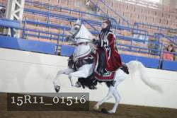 15R11_01516 proof