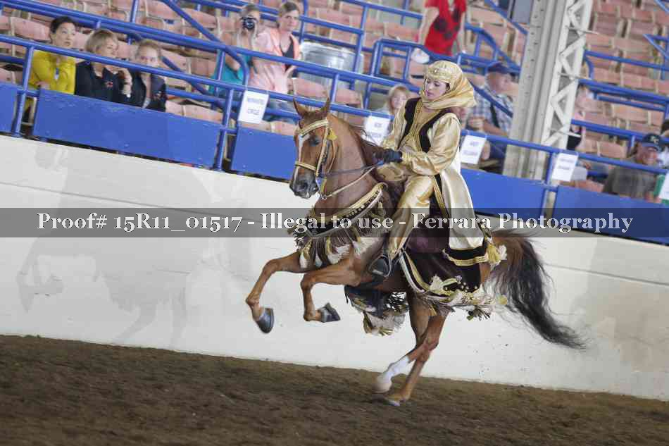 Proof 15R11_01517