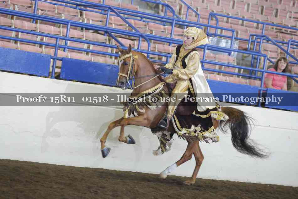 Proof 15R11_01518