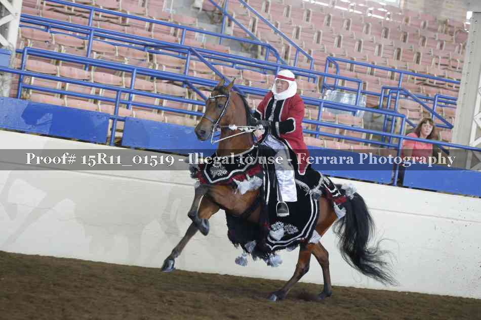 Proof 15R11_01519