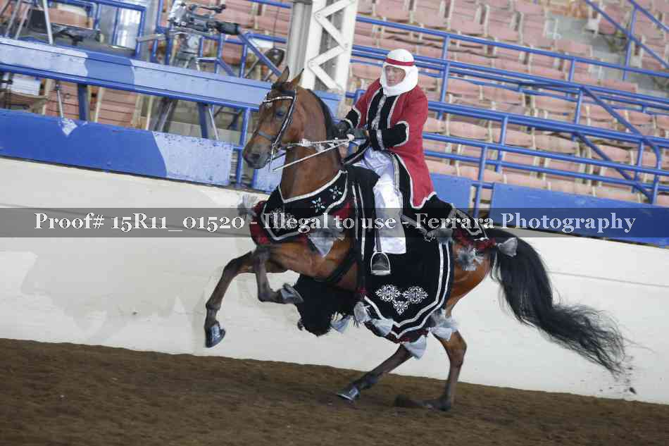 Proof 15R11_01520