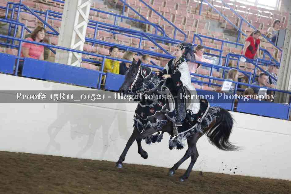Proof 15R11_01521
