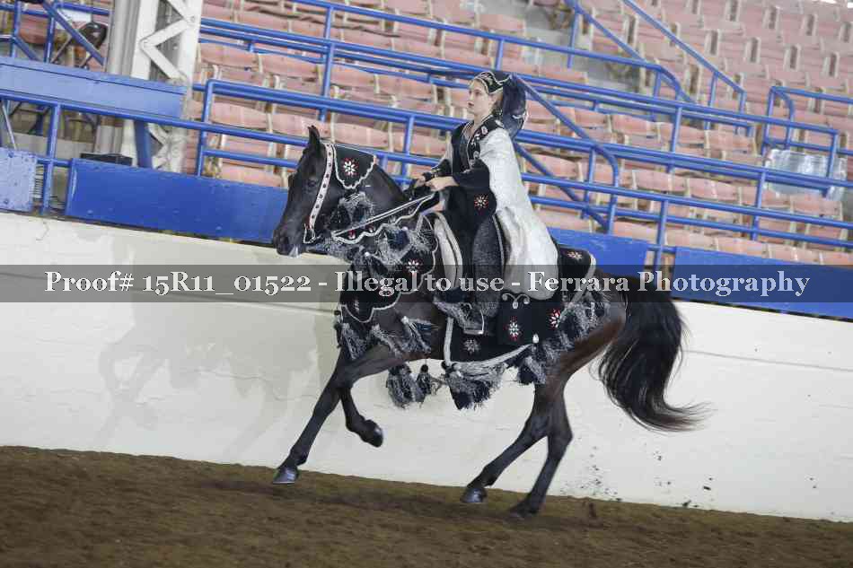 Proof 15R11_01522