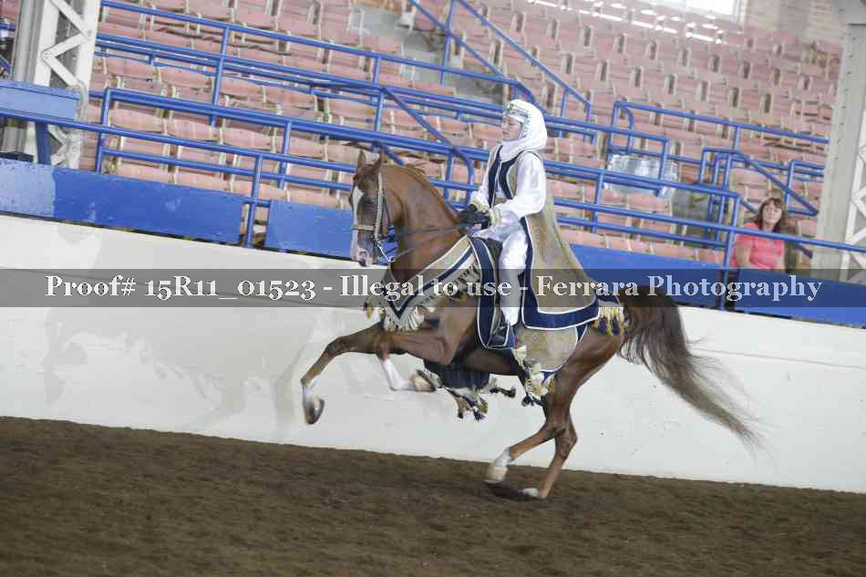 Proof 15R11_01523