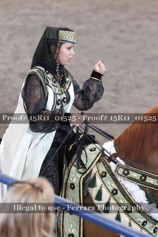 Proof 15R11_01525
