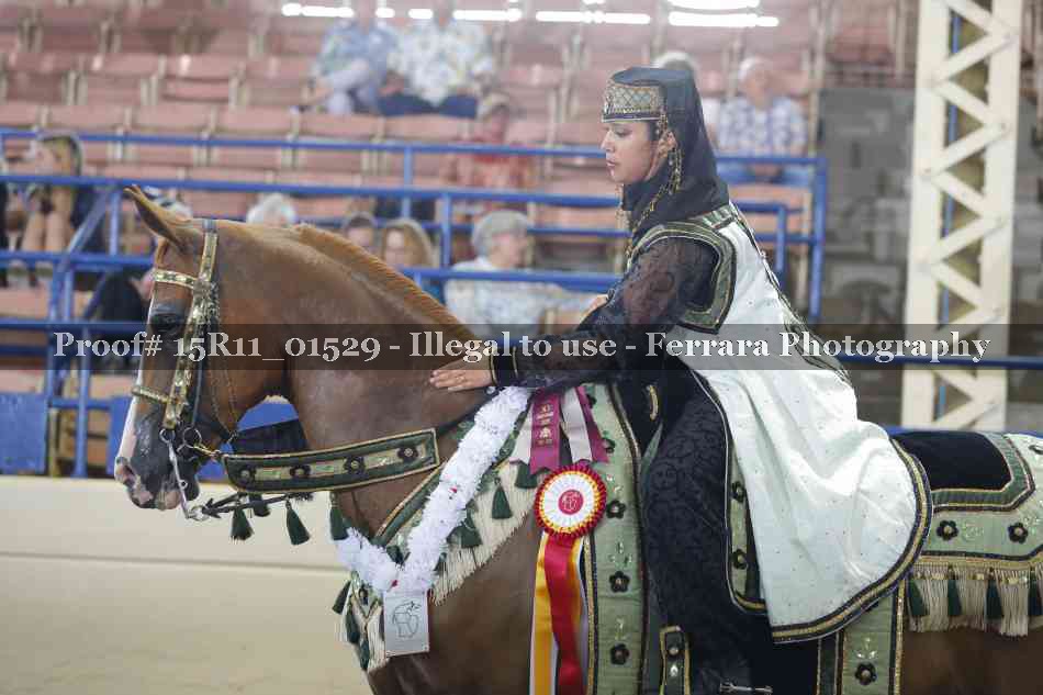 Proof 15R11_01529