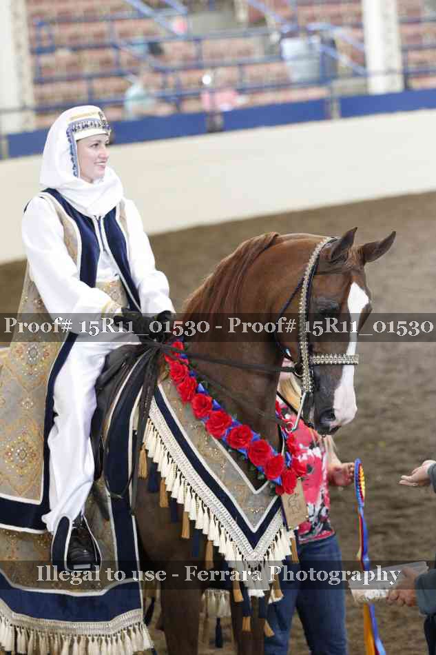 Proof 15R11_01530
