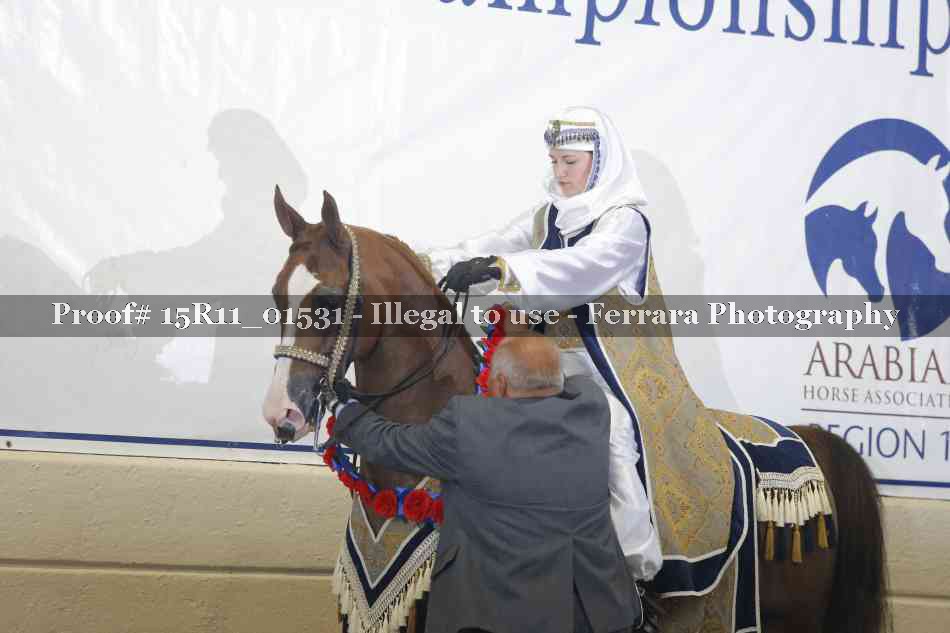 Proof 15R11_01531