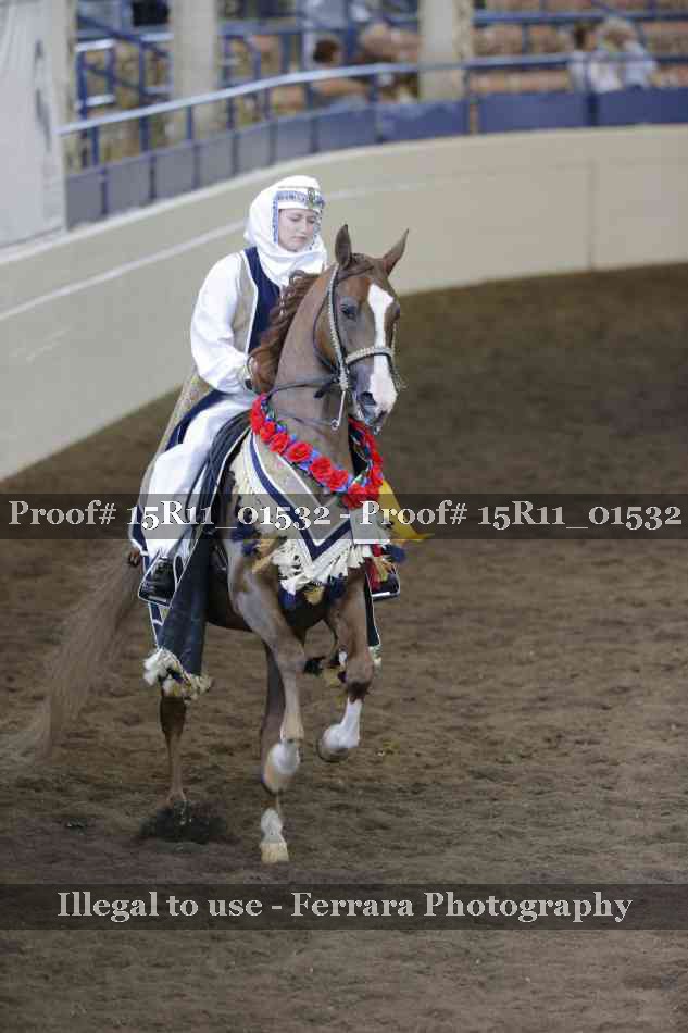 Proof 15R11_01532