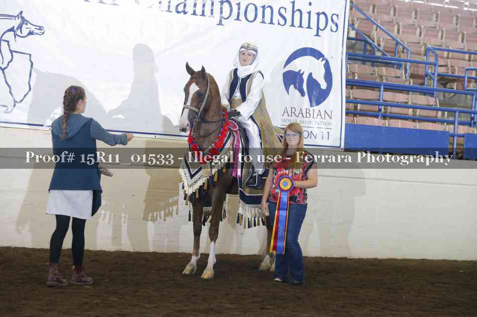 Proof 15R11_01533
