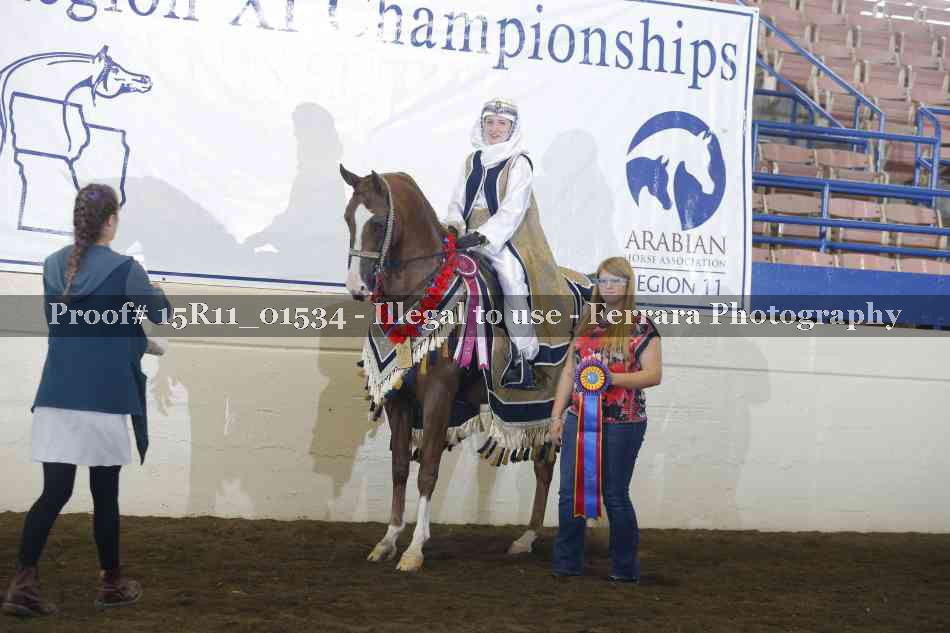 Proof 15R11_01534