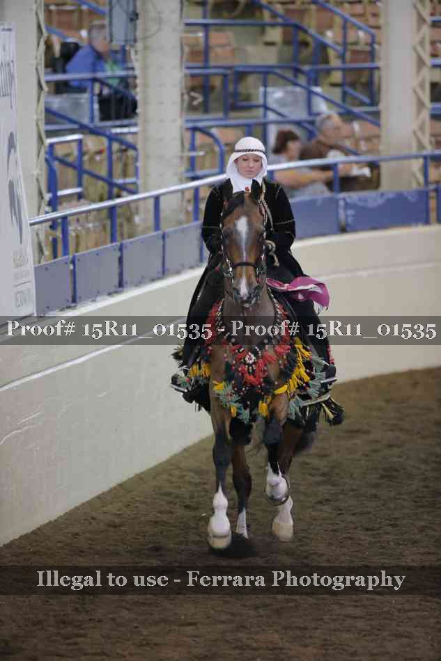 Proof 15R11_01535