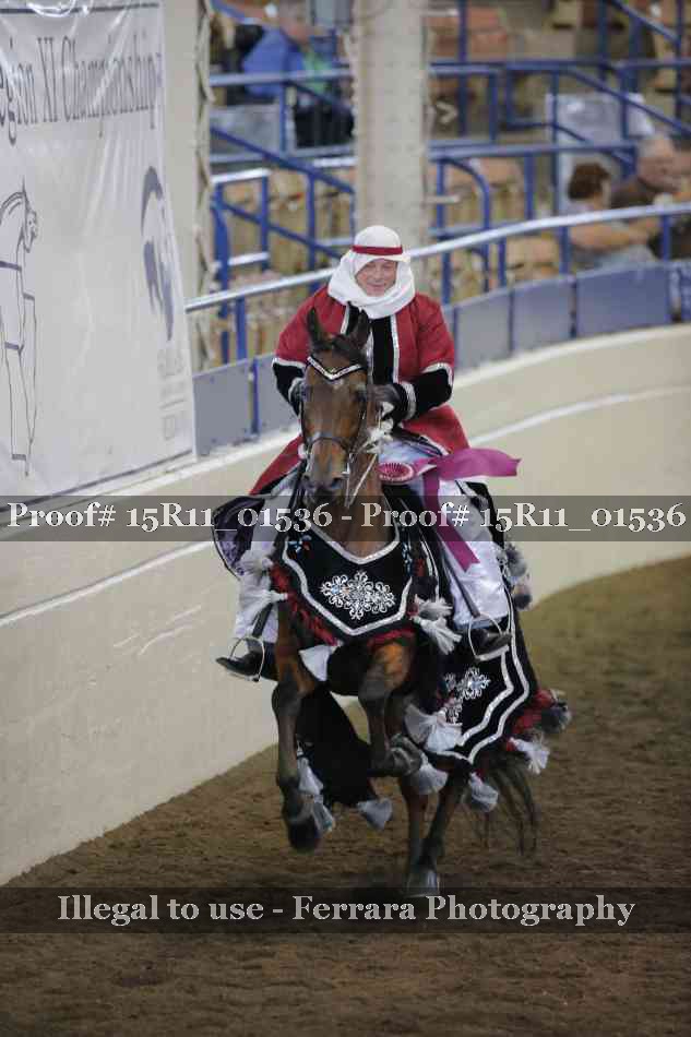 Proof 15R11_01536