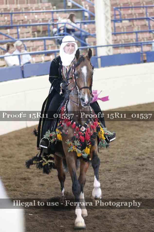 Proof 15R11_01537