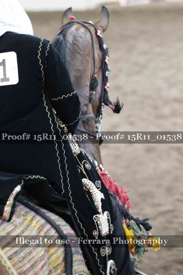 Proof 15R11_01538