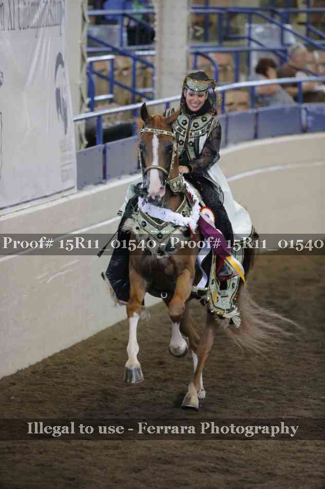 Proof 15R11_01540