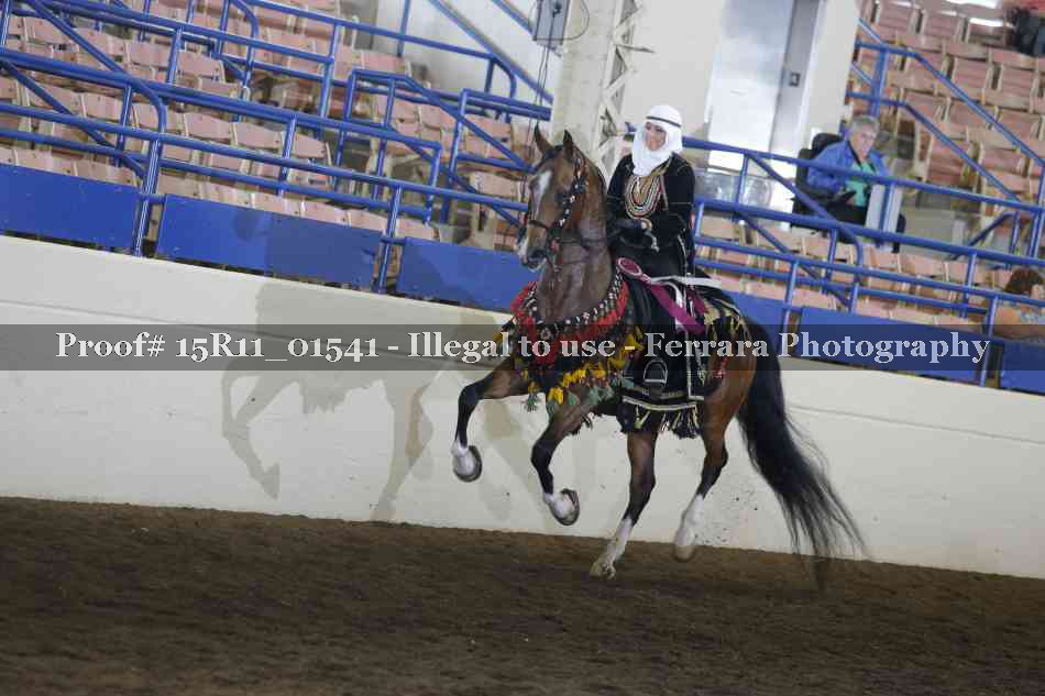 Proof 15R11_01541