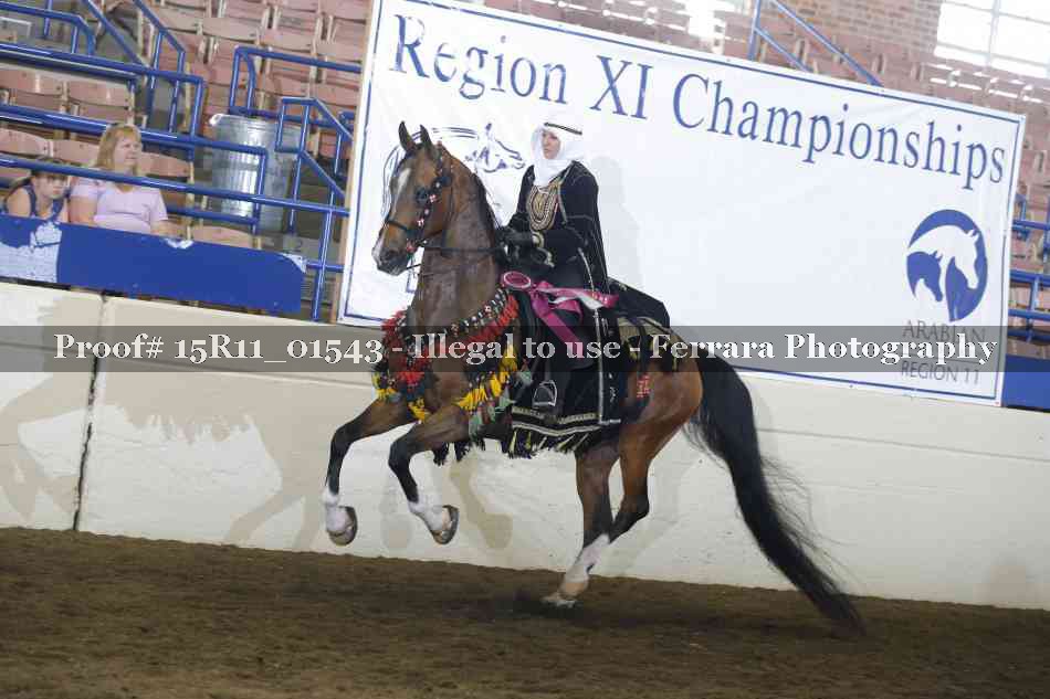 Proof 15R11_01543