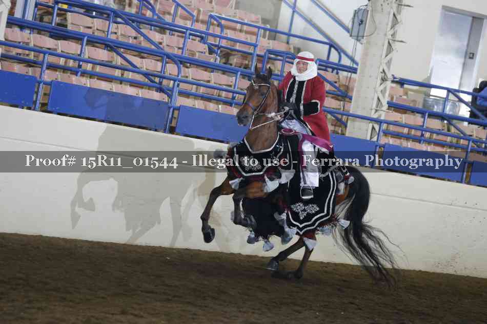 Proof 15R11_01544