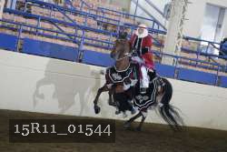 15R11_01544 proof