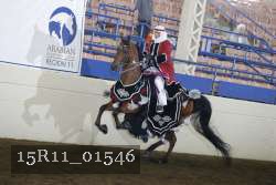 15R11_01546 proof