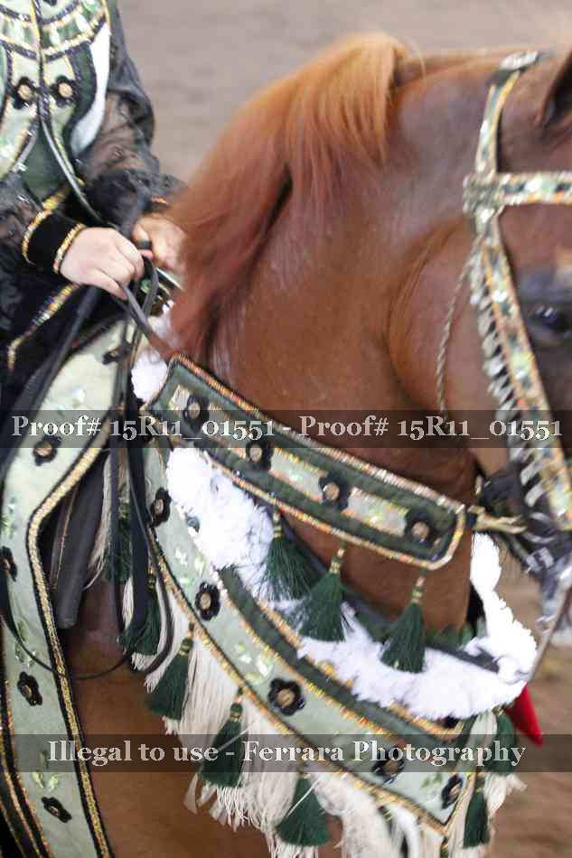 Proof 15R11_01551