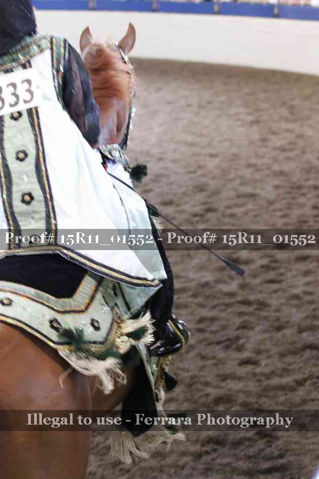 Proof 15R11_01552