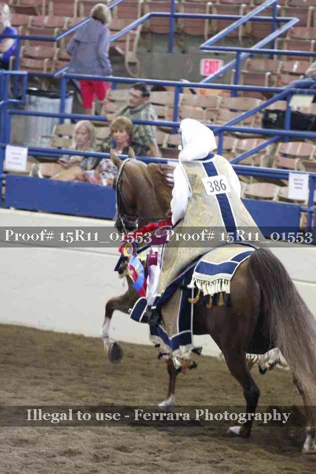 Proof 15R11_01553