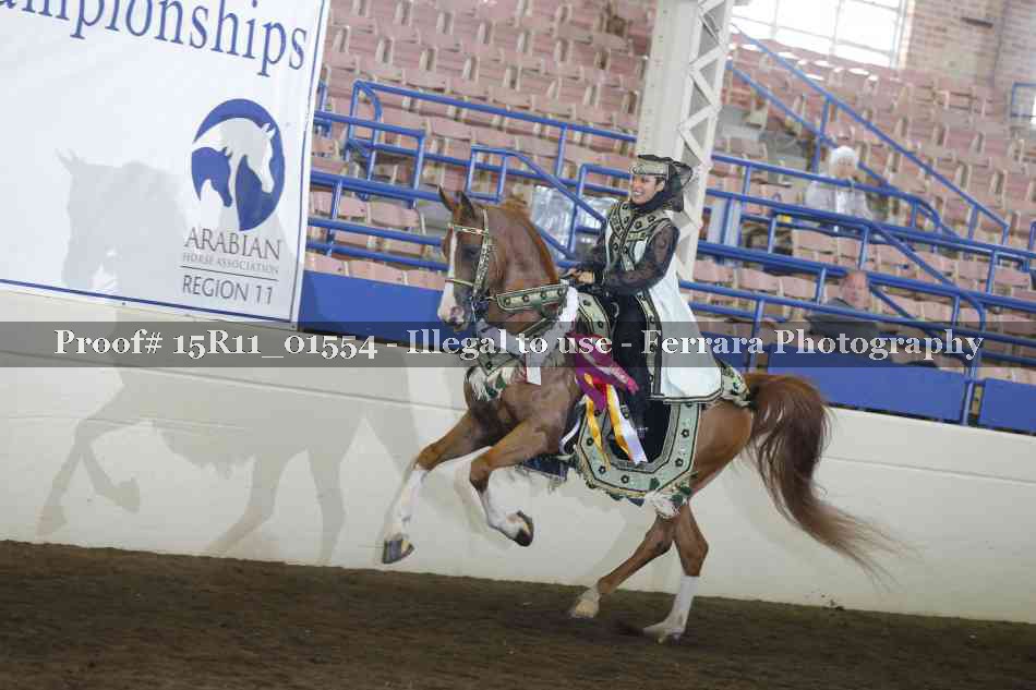 Proof 15R11_01554