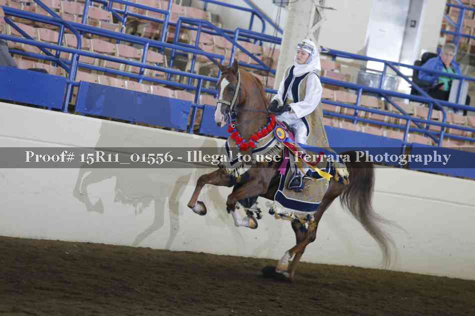 Proof 15R11_01556