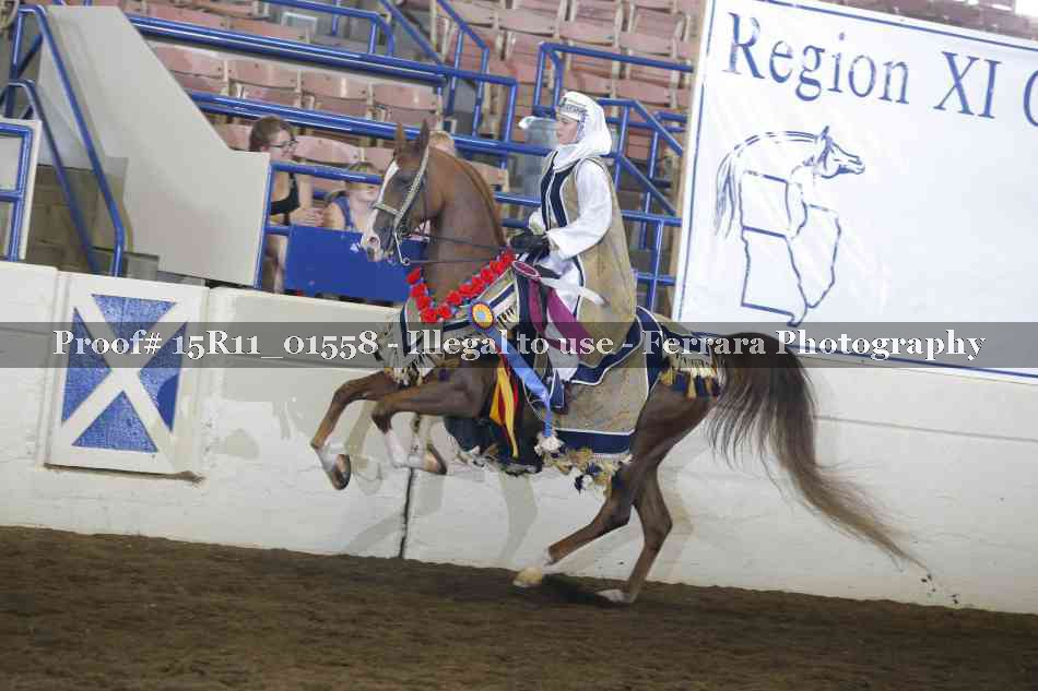 Proof 15R11_01558