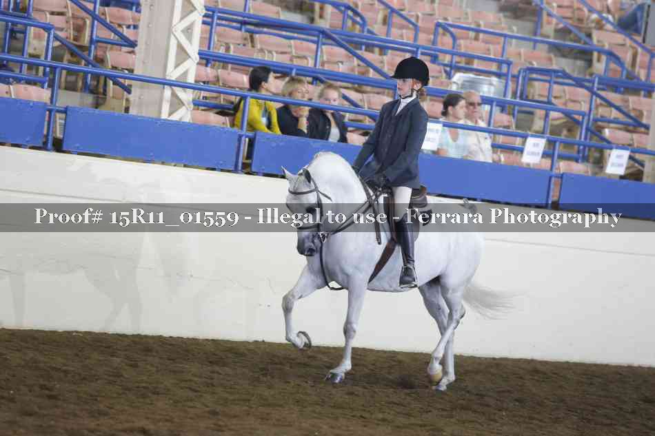 Proof 15R11_01559
