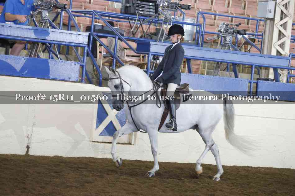 Proof 15R11_01560