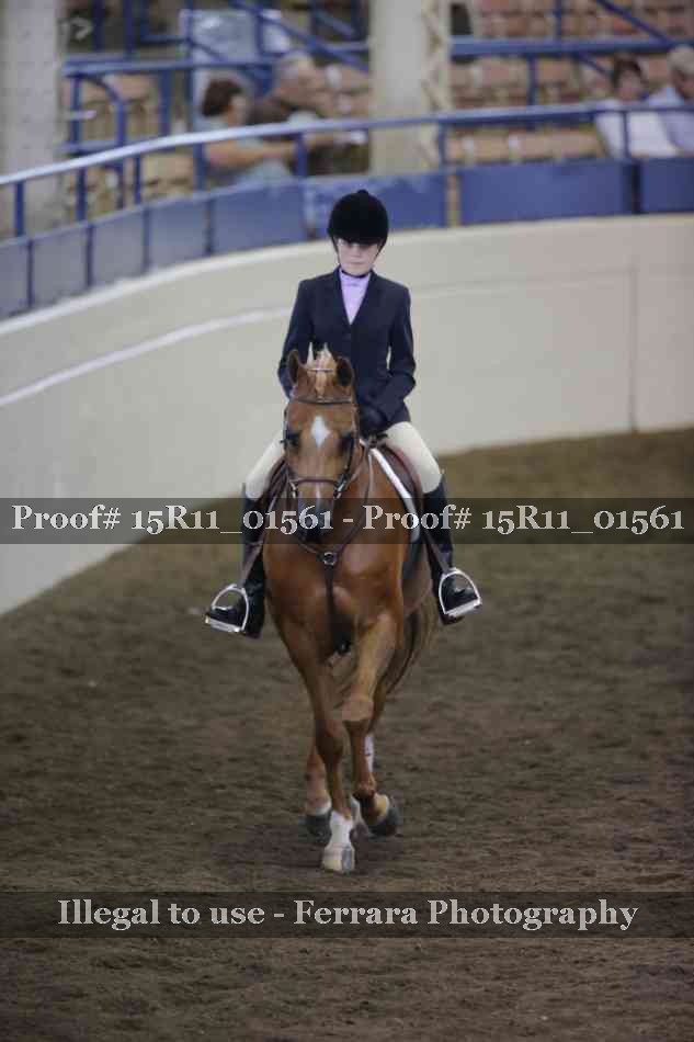 Proof 15R11_01561