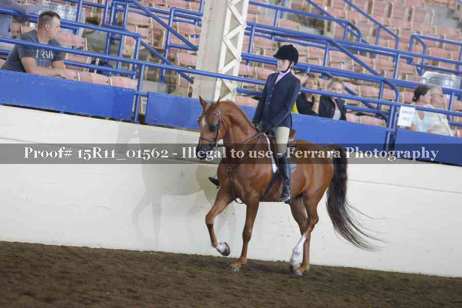 Proof 15R11_01562