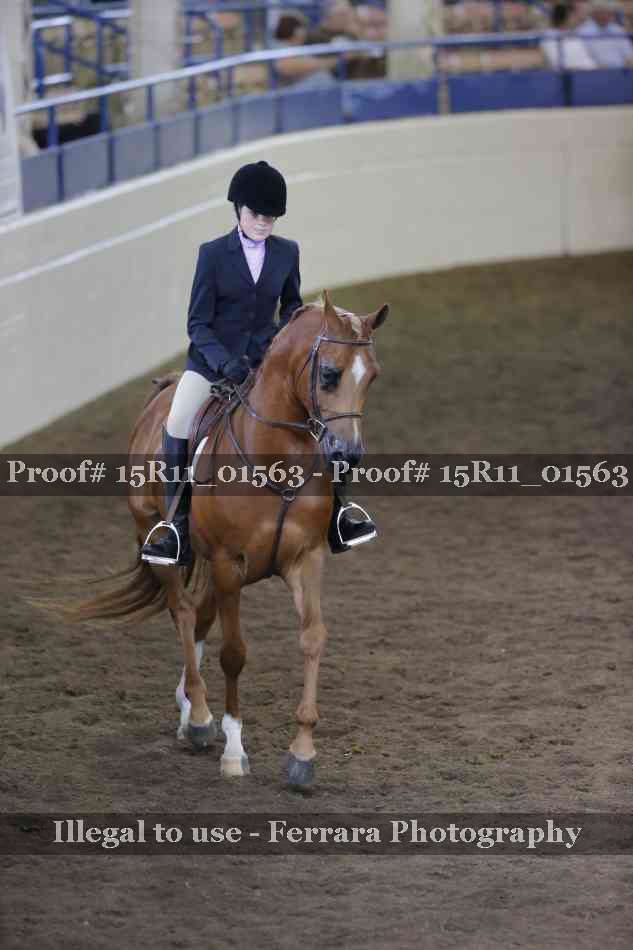Proof 15R11_01563