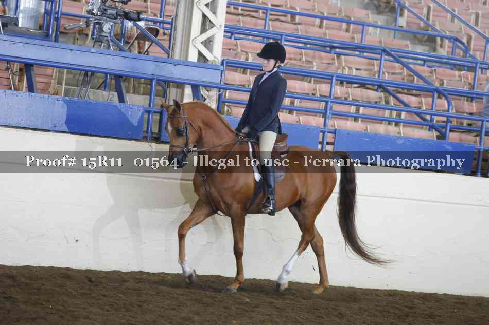 Proof 15R11_01564