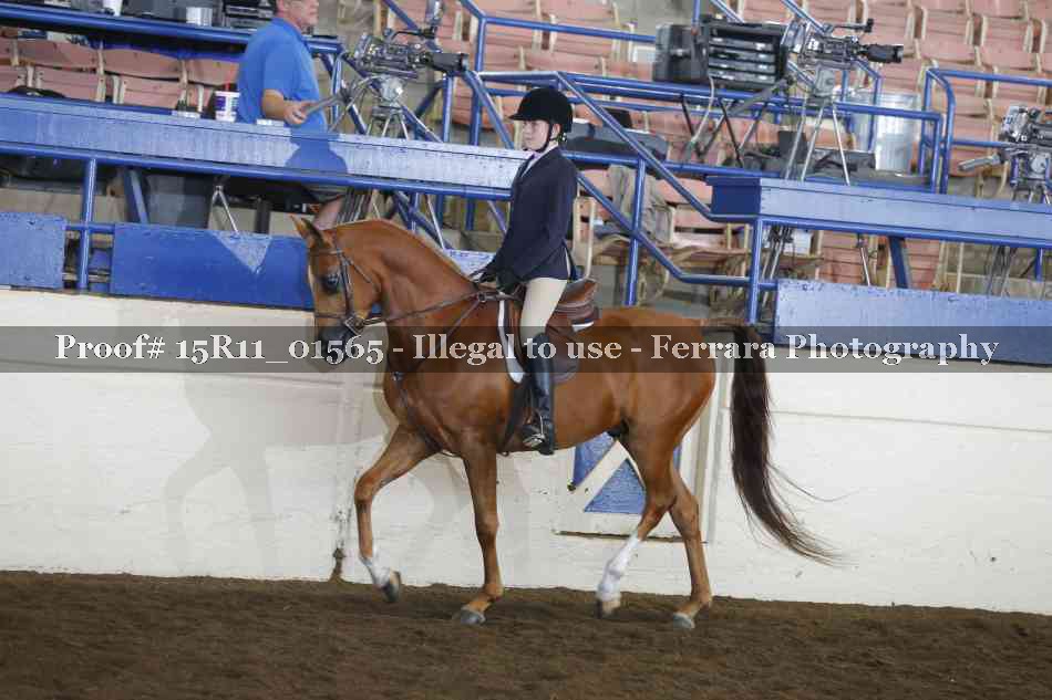 Proof 15R11_01565