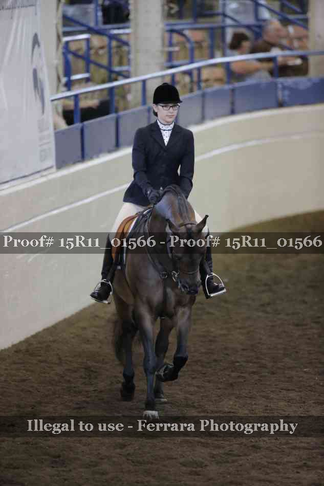 Proof 15R11_01566