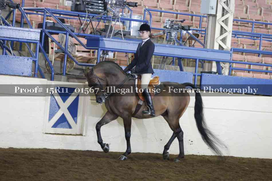 Proof 15R11_01567