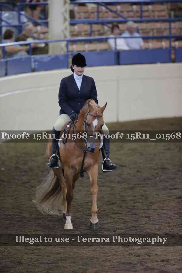 Proof 15R11_01568