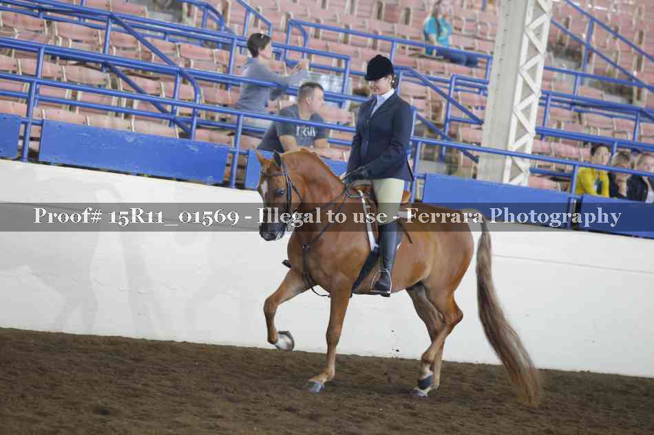 Proof 15R11_01569