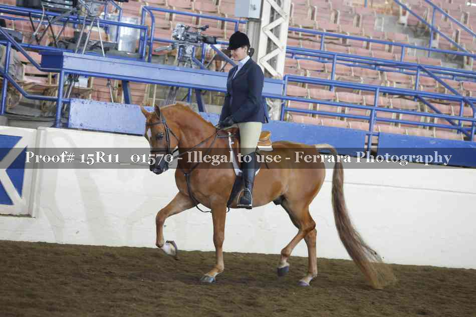 Proof 15R11_01570
