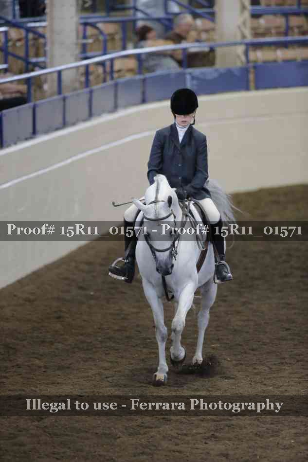 Proof 15R11_01571
