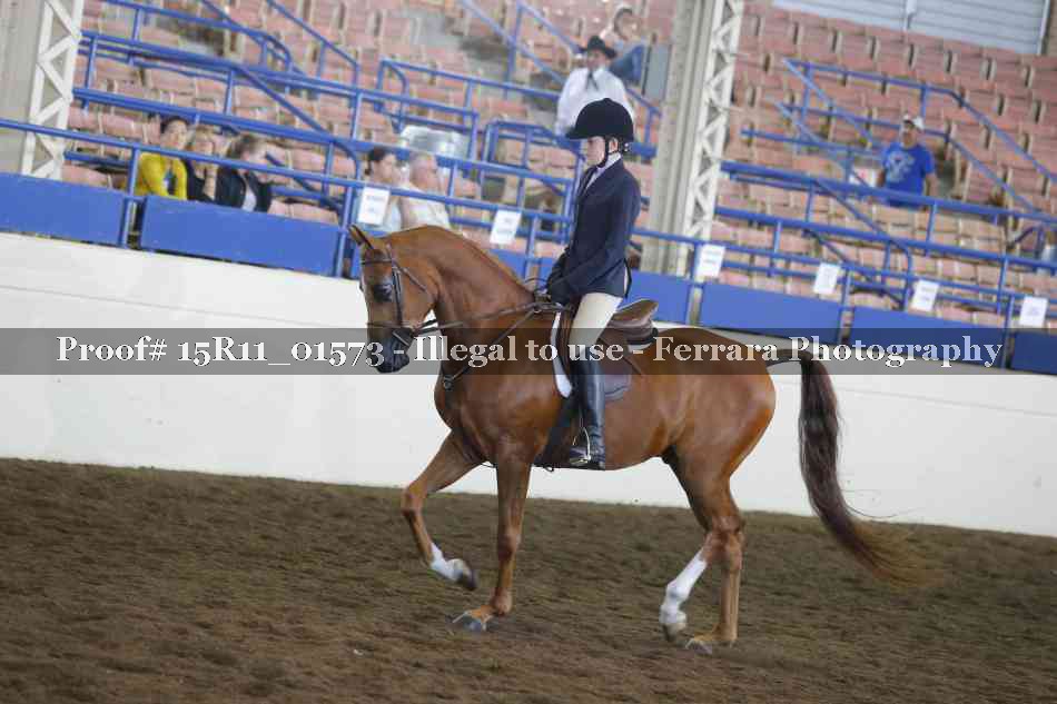 Proof 15R11_01573