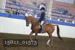 15R11_01573 proof