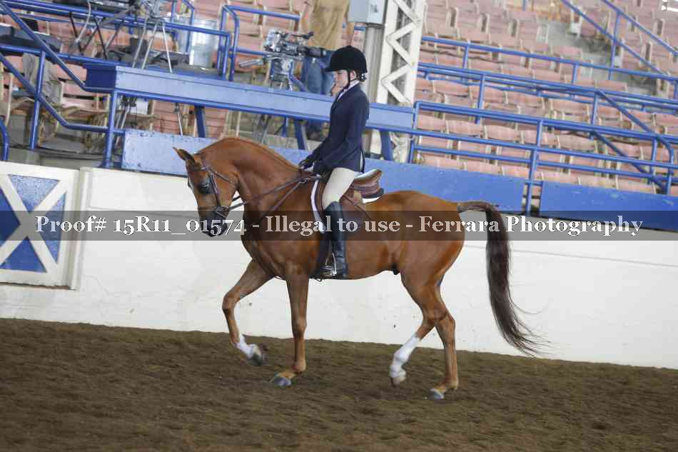 Proof 15R11_01574